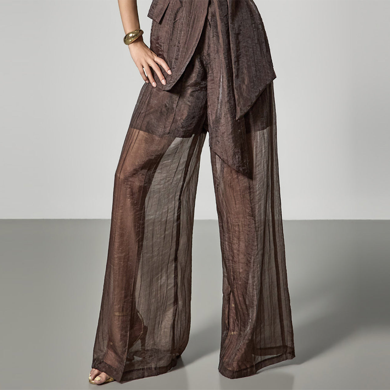 P3840 Sheer Wide Pants