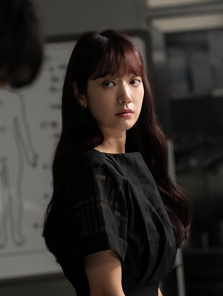 DINT CELEB<br><br> Park Shin Hye<br><br> D9495